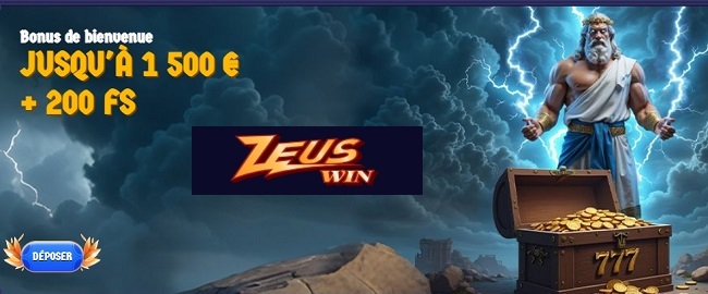 accueil zeuswin avis