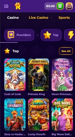 version mobile petit plus